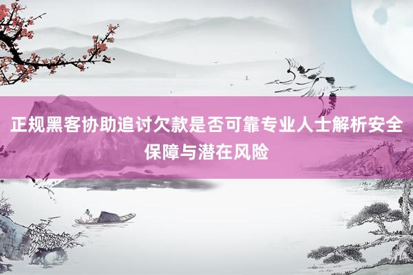 正规黑客协助追讨欠款是否可靠专业人士解析安全保障与潜在风险
